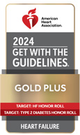 2024-TS2-Gold-Badge