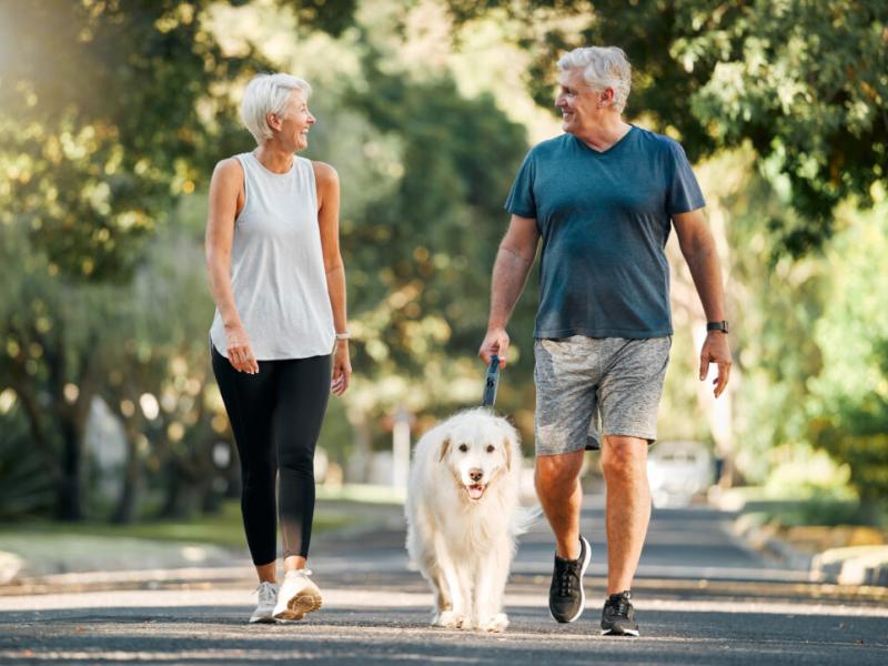Why Walking Is the Ultimate Health Booster