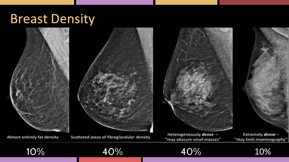 Scale of breast density as seen on mammogram from mostly fatty tissue to mostly dense tissue.