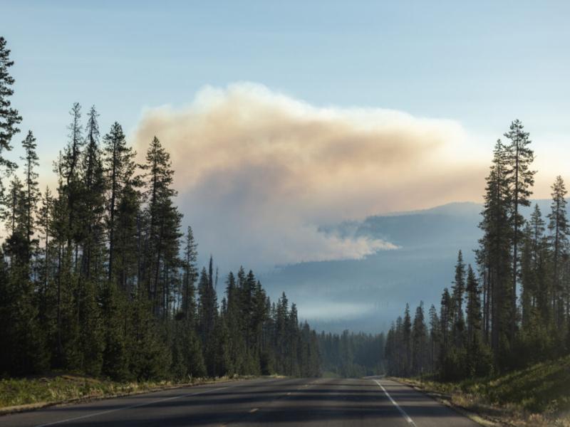 Protecting Your Lungs From Wildfire Smoke