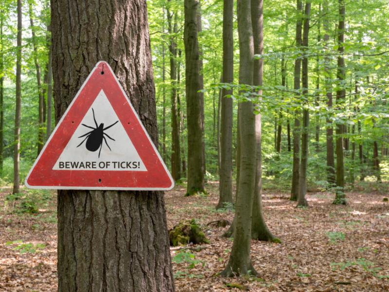 Caution: Tick Season Ahead